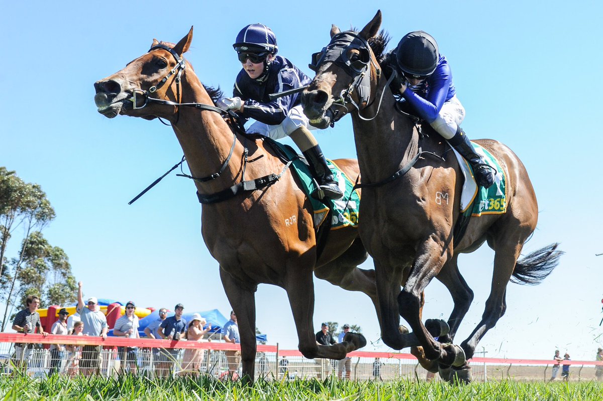 RacingVictoria's tweet photo. Celebrations today for apprentice @LDoodt97 and trainer Patrick Payne who combined for victory in the #NhillCup with veteran Strategic Demand narrowly denying apprentice Sophie Logan, who rode runner-up Owl On the Prowl, four winners on the day. @Country_Racing https://t.co/o09zDlZtX4