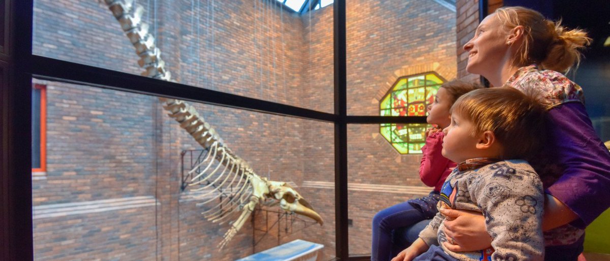 Over the next few days, we'll be sharing some of our favourite highlights of 2018.
On the first day after Christmas, Tullie House gave to me...#Driggsby the #Whale!
Driggsby made their appearance at the #museum in January, we can't believe it's been almost a year! #carlisle