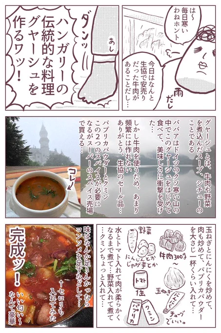 ハンガリーの伝統的な料理、グヤーシュを作った日の話です。手料理を作った日はだいたいこうなるのですが(2枚目)、私だけでしょうか…?そしてミレーナ装着後4ヶ月の簡易的なレポもブログに書きました!ババアの漫画 