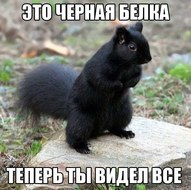 igrynadengi's tweet photo. https://t.co/VuwmtvQH71
