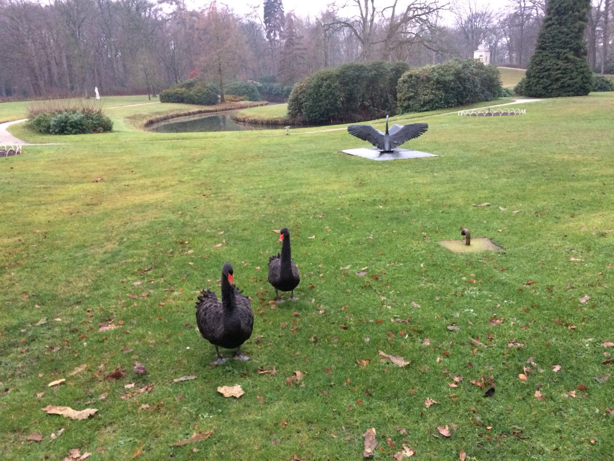 Mattemburgh; kerstgroet ook van deze trouwe bewoners.