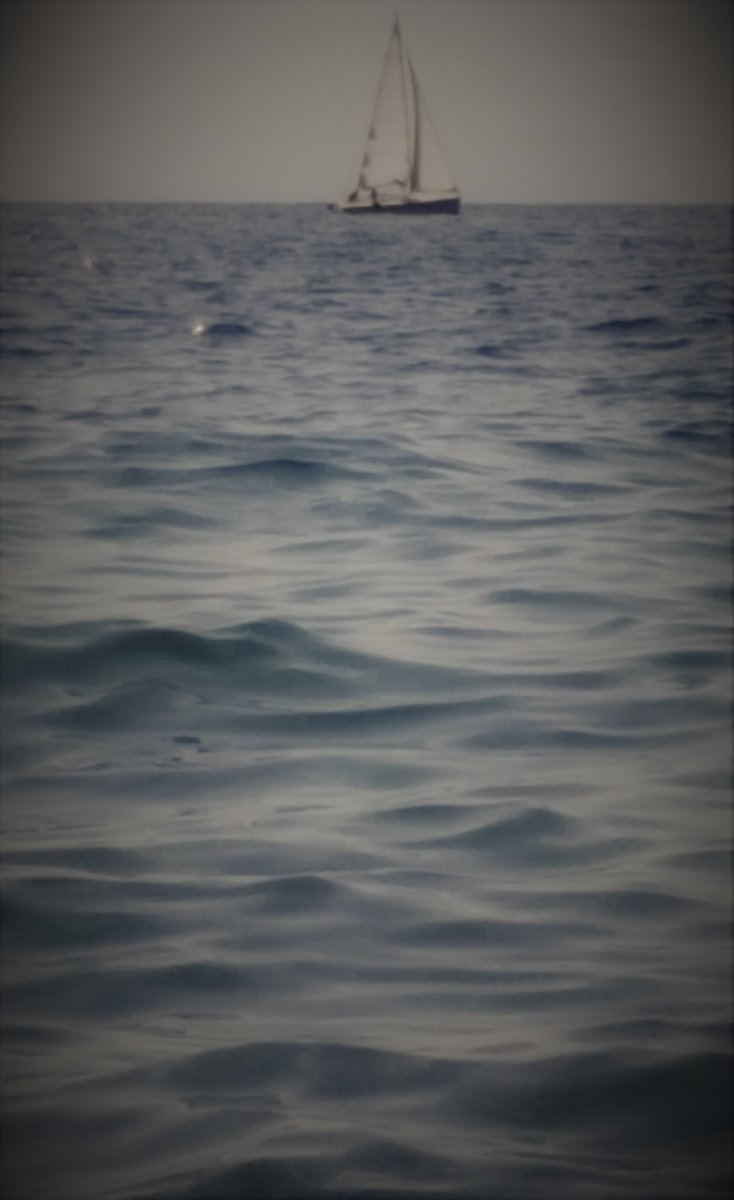 pilar_prim's tweet photo. Somos agua...
Quizás por ello,
en ella,
encuentro sosiego... https://t.co/88aQ8jd4GN
