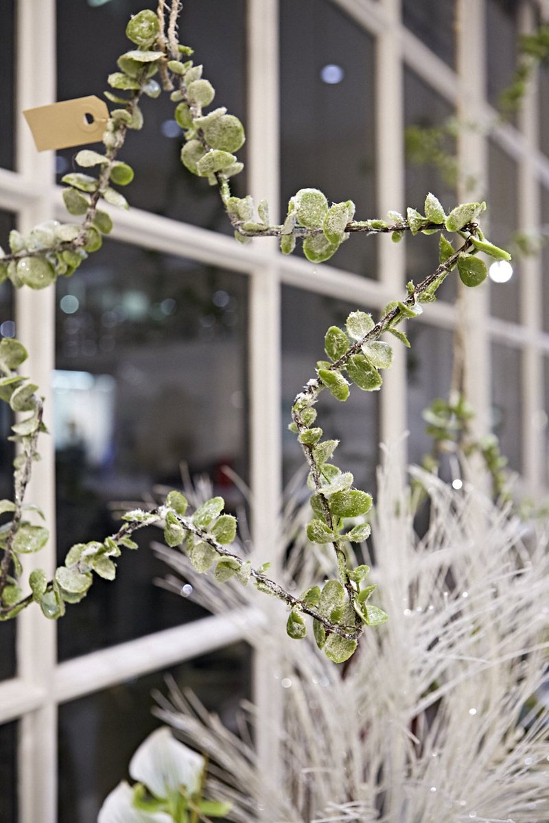 Happy Boxing Day! Our George Street store will remain closed today, but you can get in touch with our wonderful team at #JohnLewisOxfordStreet by calling 0203 073 0621 or visit them instore!