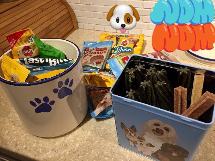 kjn30's tweet image. The treat  jar overfloweth 😁
#SpoiledDoggo