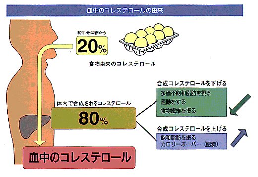 uparupa1130's tweet photo. 【糖質制限ドットショップより一言】

糖質制限中に気を付けたいのが油のとりすぎです！
過剰になるとコレステロールのバランスが崩れて動脈硬化を促進させてしまいます。
健康第一！
極端��ならないよう注意しましょう。😑

詳しくはFacebookで→https://t.co/nOQek8BelV

＃肝臓　＃悪玉　＃善玉 https://t.co/IjFlkuPGB0