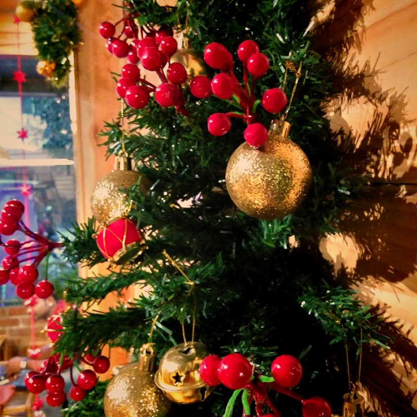 BeanFlickersBLR's tweet photo. Here is the season of joy and happiness..lets wish every one a wonderful and healthy christmas...@BeanFlickersBLR https://t.co/AJwbpBelnF