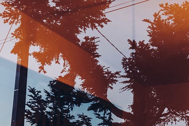 AvaduParc's tweet photo. #latergram ⠀
Vendanges chez les Mosse en octobre dernier. ⠀
#naturalwine #harvest #vendanges #mosse #domainemosse #valleedelaloire #anjou #trees #blue #orange #electricwire #dawn #sunrise #earlymorning https://t.co/gI1lDdFPTZ https://t.co/kMkakHqZSz