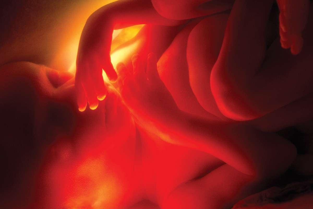 newscientist's tweet photo. We can now create life without the need for sperm or eggs https://t.co/xLDwFLxq3m https://t.co/oUy3UrbU6v