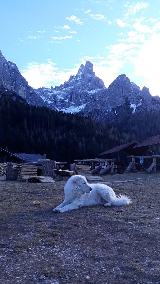 civertaghe's tweet photo. Buon Civer 
By CiverMalgaro 
https://t.co/lMoXVcEDyJ
#karpos #slittino #luge #aptsmart #malgacivertaghe #instaprimiero #instatrentino #Civerville #CiverBelt #CiverBella #CiverMalgaro #civerCampagnola #laMalgapiùanticadeltrentinoaltoadige1905 #sanmartinodicastrozza  #legnevezlegne https://t.co/aYM6MVRXHj