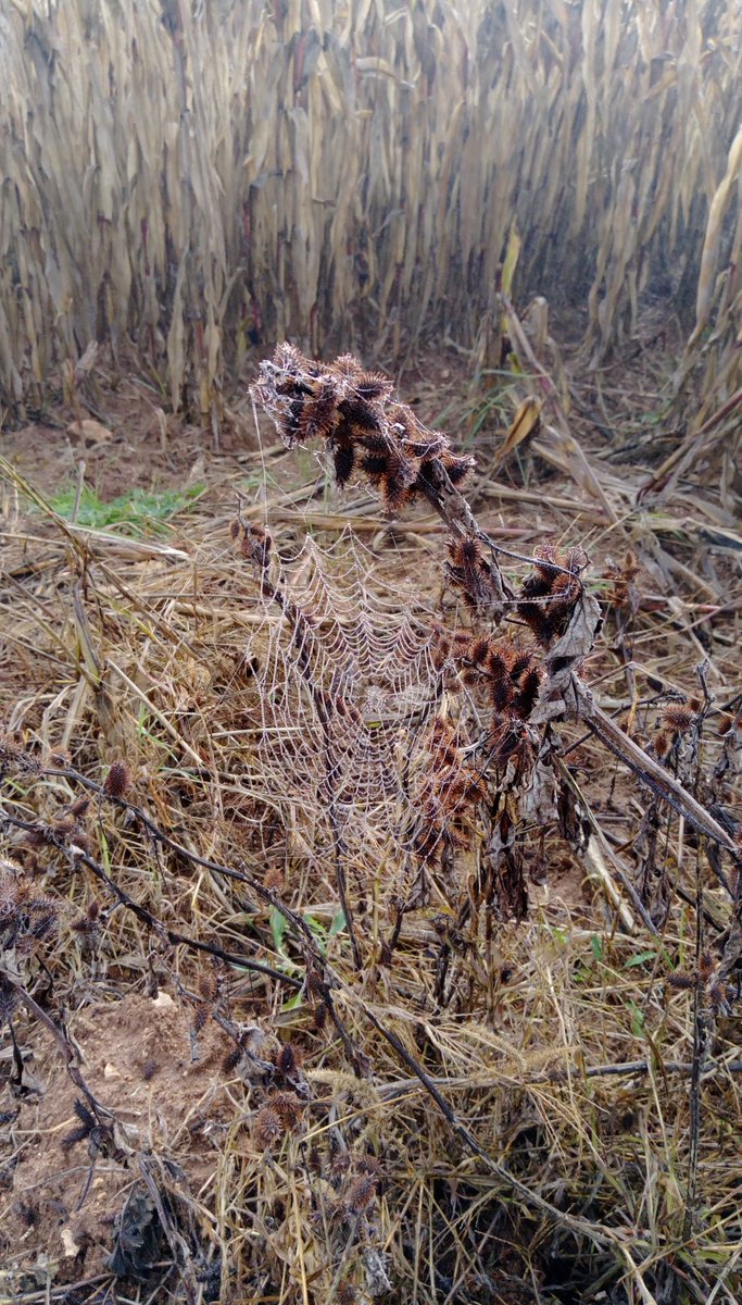 Rabim boyle bi guzelligi yaratmis canli gormek dahada hayret birakti