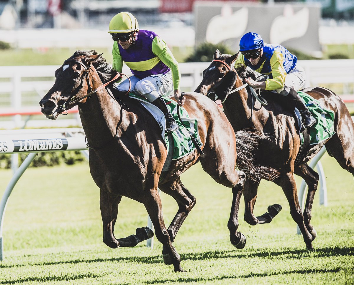 Sporf's tweet photo. 📅 Boxing Day Schedule:

⚽ 137 Football Matches

🏇 69 Horse Races

🐕 246 Greyhound Races

🏏 3 Cricket Tests Matches

🏀 2 NBA games

😍 The ultimate day for sports fans. https://t.co/cUeQgkVRdI