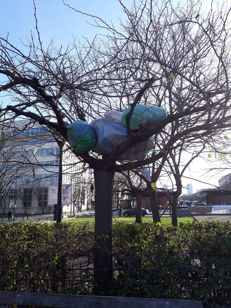 Small #refugee camps are allowed to form in #Paris each  night, but every morning the police make everyone pack their tents, blankets, and personal belongings away. As the 300 odd people in this camp have nowhere safe to put their stuff, they put it out of harms way in the trees.