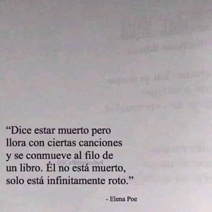 f_meneses05's tweet photo. #ElenaPoe https://t.co/exN0IGi4KE