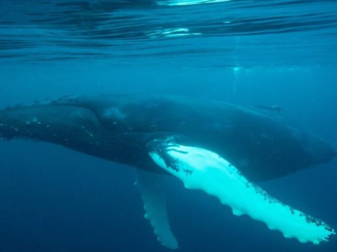 View image on Twitter