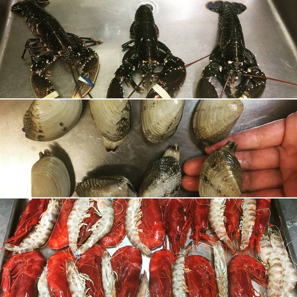 RSCaballoTroya's tweet photo. Esos días que son especiales... y decides que te mereces una Caldereta de #marisco "Made in #ElCaballoDeTroya".

Ingredientes de primera calidad para nuestros clientes 🦐🦀🍴

📞 983 339 355 🐴🍴 https://t.co/LH7QU6LK2M #Gastronomía #Valladolid #Restaurante https://t.co/maozAeJmAw