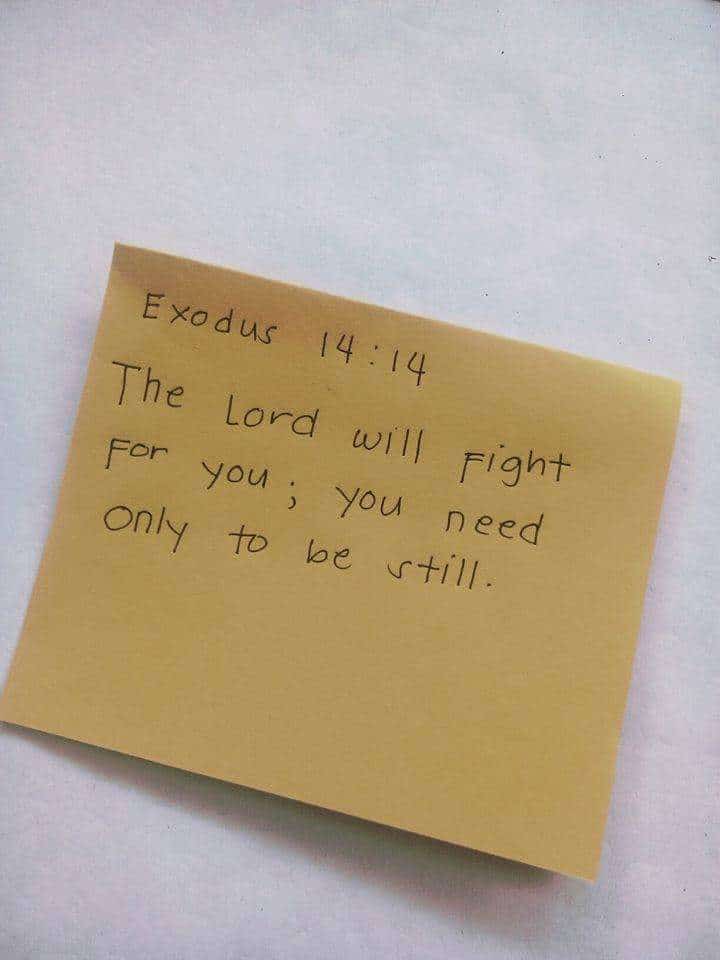 HWokocha's tweet image. Make We Do Am... We Go Do Am... #RIVERSSTATEARISE #PoliticsofPeace #ANewHopeForRivers #tcmeansbusiness #WeDewithTonyecole