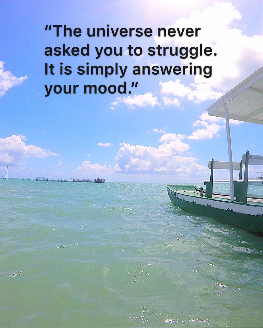 syncmindaudio's tweet image. “The universe never asked you to struggle. It is simply answering your mood.”

#loa #reprogramyourmind #binauralbeatsmeditation #syncmind