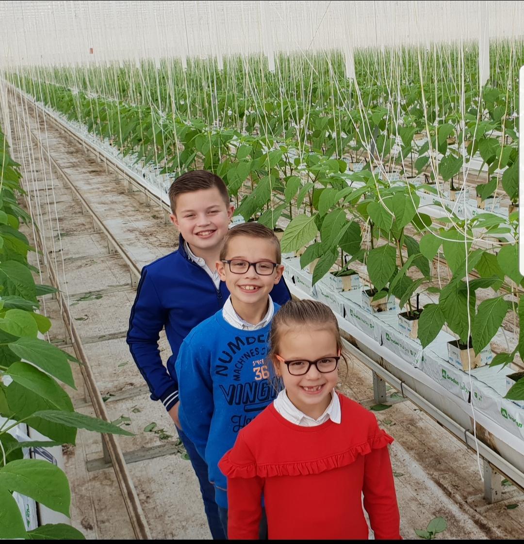 Jaarlijkse #groeiupdate #2ekerstdag #groeitlekkerdoor