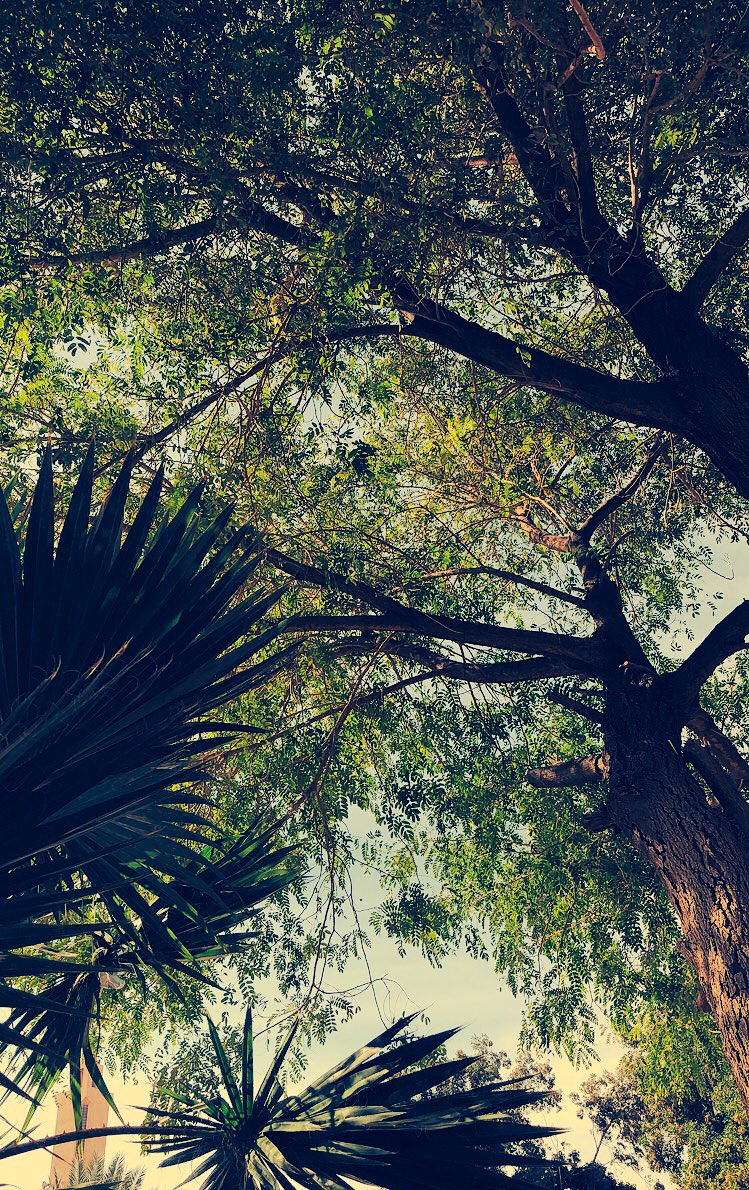 #اجمل_حاجه_في_الرياض  

.وإني في هوى نجدُ العذيّةِ مُتيّماً
ومالي سوى عشقُ الرياض طريقاً
❤️❤️❤️