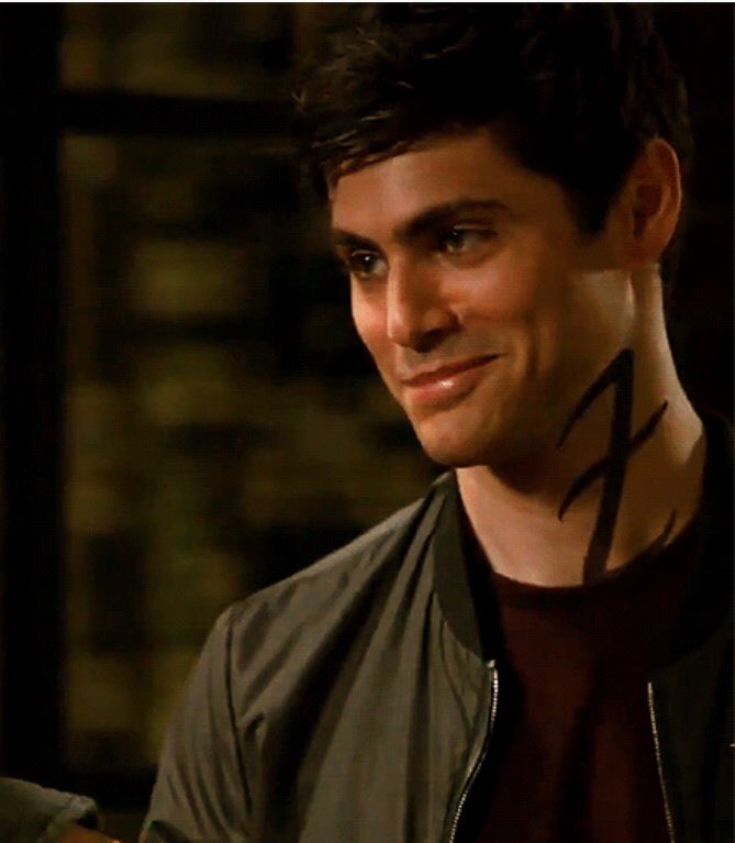 Spot The Difference: The Just Too Freaking Cute Edition  #ALECvsALPACA #SaveShadowhunters