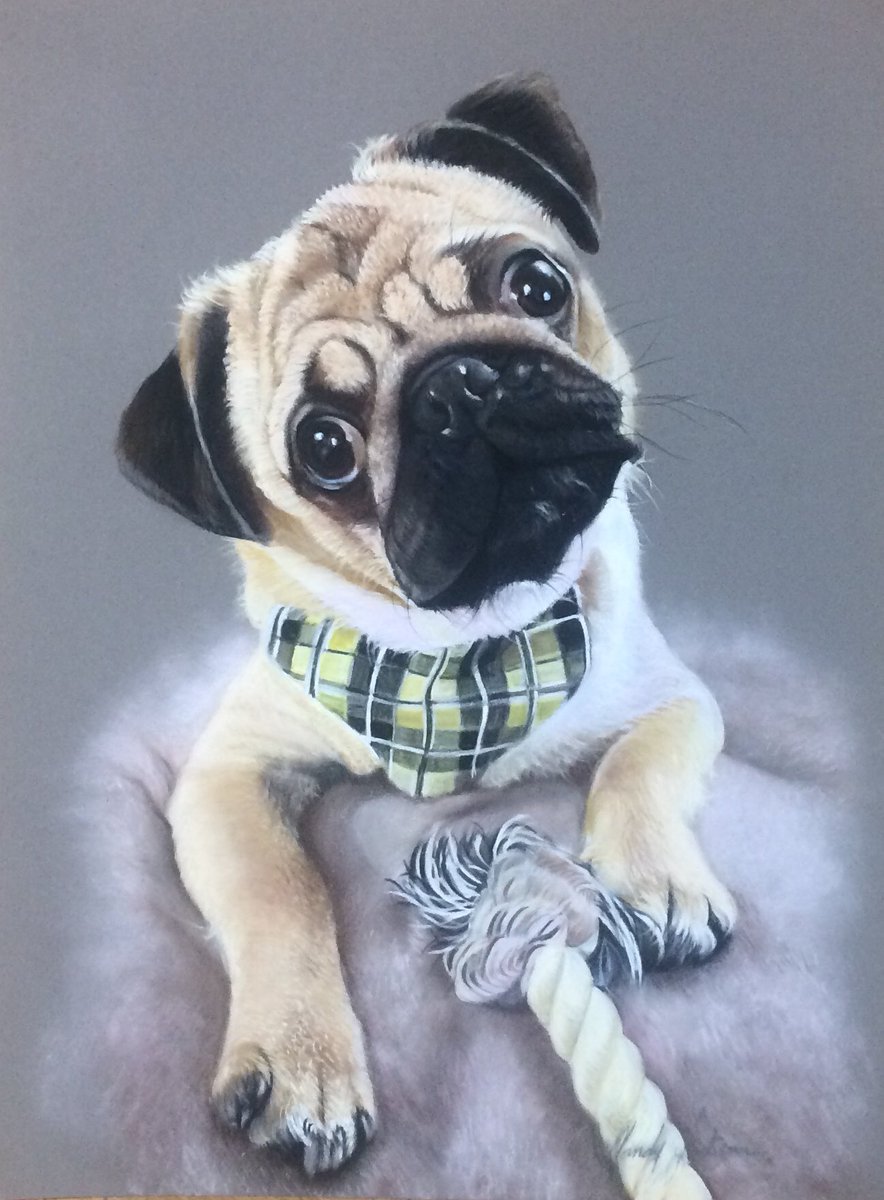 magichand9's tweet photo. #pug #art #artist #drawing #pencilart #pastel #medium #artistsoninstagram #portrait #artwork #animals #instaart #ArtistOnTwitter #petsarefamily #dogs https://t.co/XB6ILWuWqO