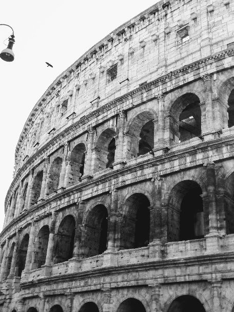 Rome, Italy 
Colosseum 
#Rome #Italy #November2016
#travel #blackandwhitephotography 
Good Evening To All !!