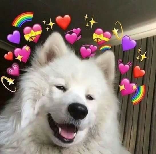 sprinklesjacob's tweet photo. he workin really hard for us and we sartorians appreciate you heck a lot @jacobsartorius :)))
<333 https://t.co/k1eXHPbpxH