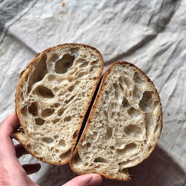 jokuti's tweet photo. One of the most beautiful qualities of true friendship is to...
...send a perfect bread to your friend!
🙏 @mestermi
#bread #sourdough #🥖 #brot #kenyer #baking #pane #twitter
More photos in my IG story https://t.co/egyL9YIIxH