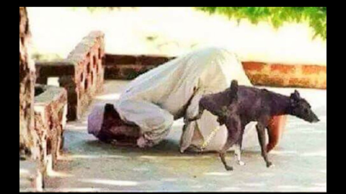 SupreJustice's tweet photo. C1118 #NamazOrderRow
Court found that Namaz should not allowed anymore in any public areas &amp; No more land for Namaz.

1947 creation of Pakistan &amp; Bangladesh for Namaz and Islamic activity, India is not for Islamic Banana
Court order @Uppolice arrests or Shoot them. @asadowaisi https://t.co/JnRmfFWHqk