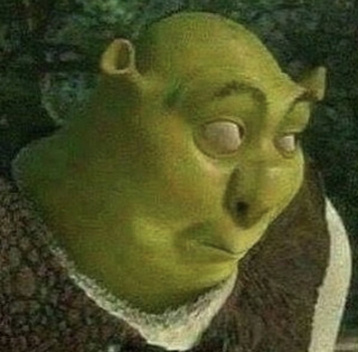 bunniilovely's tweet image. #BirdBox
Tom:” it’s just a speed bump”

Everyone else in the car :