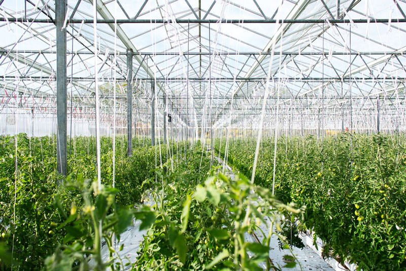 BeasiswaIndo's tweet photo. Contribute to sustainable development around the world! Study a Master in Rural Development and Natural Resource Management at Swedish University of Agriculture Sciences. Learn more Sqore. https://t.co/tRK3nKu7Uc https://t.co/9lJ8DzF3bU