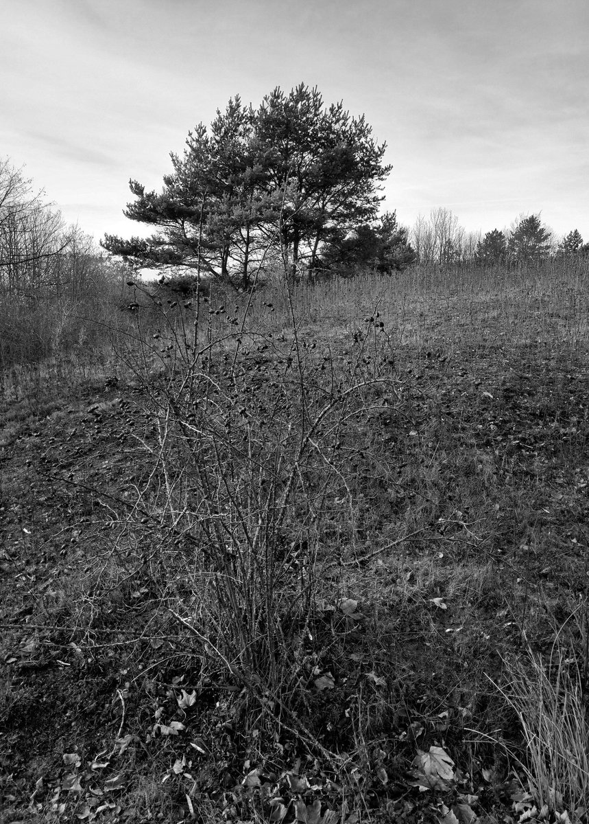 texjoachim's tweet image. #randomplace