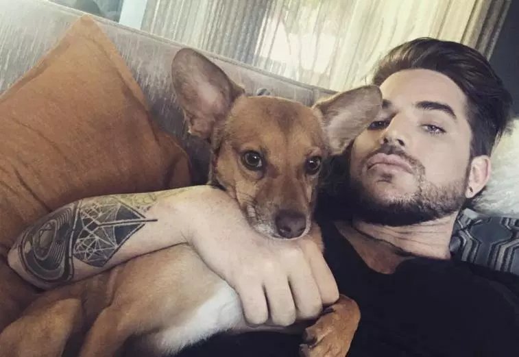 mariana20501's tweet photo. Adam walking with Pharaoh at night made me remember when he said wanted a dog, but couldn't have because would be a crappy owner with all travel and work. It's exactly the opposite. He's a great dog owner, and Pharaoh a lucky dog. The scared look when he arrived and now. https://t.co/kJ1er4Ga4j