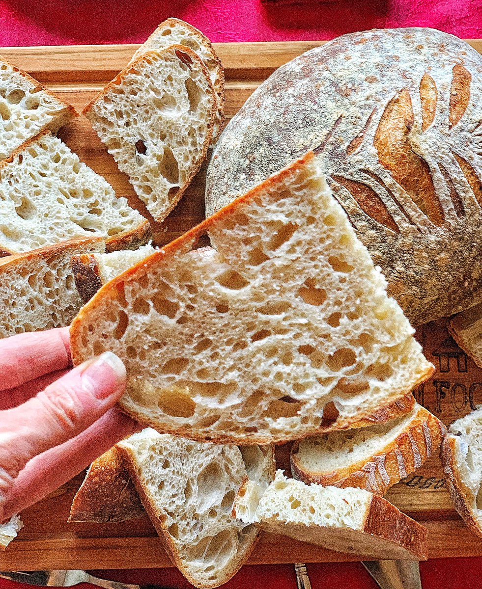 RealFoodHappy1's tweet photo. Here’s the finished sourdough bread, compliments of my husband! This baby is looooong gone and went perfectly with our #antipasto!!! #bread #christmasbaking #baking #homemade #bakingtraditions https://t.co/grLjoywYCT