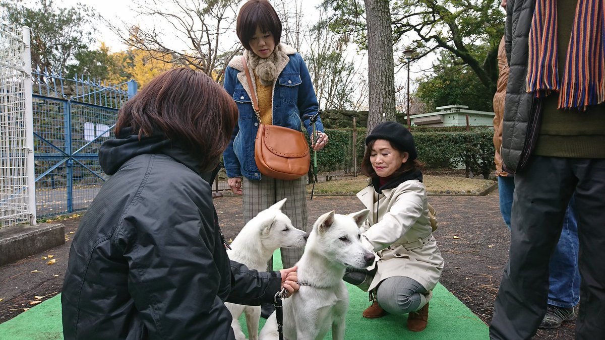 和歌山公園 和歌山公園
