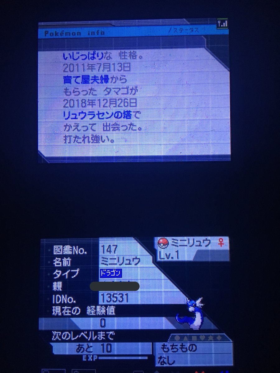 大森 على تويتر リュウラセンの塔孵化の夢神速ミニリュウ完成