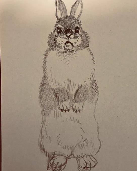 うさぎちゃんのラフスケッチです???????????
黒うさぎちゃんと白うさぎちゃんどっちを描こうか迷って途中で選びきれなくなってまいました #3月のライオン https://t.co/JD3Kdwf9Ab 