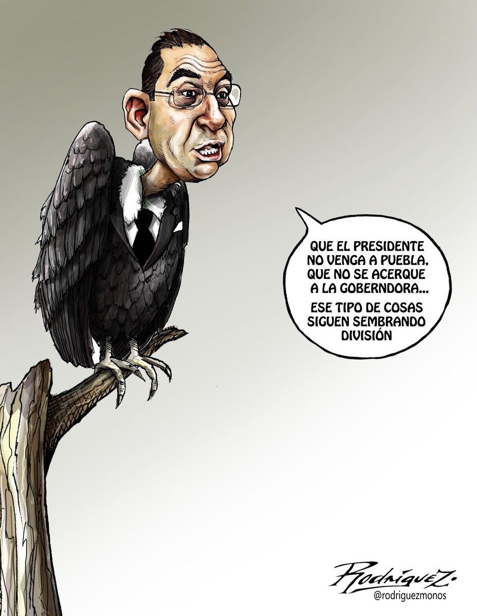 jenarovillamil's tweet photo. Cuervos enlutados y al ataque. Excelente cartón de @rodriguezmonos https://t.co/lX2cPZEr6C