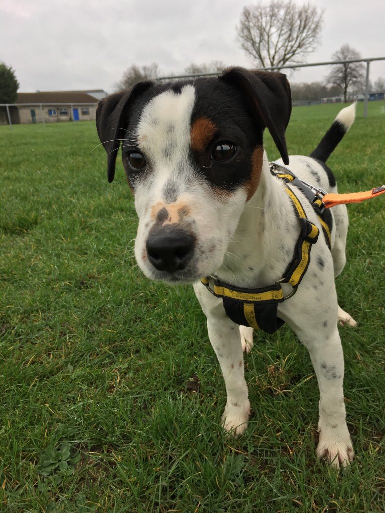 Victoria Hockley tweet media