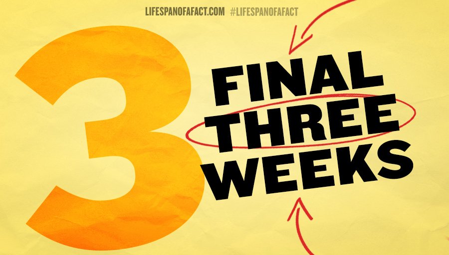 Final 3 weeks! See #DanielRadcliffe, Cherry Jones, and Bobby Cannavale in #LifespanofaFact today. lifespanofafact.com/tickets/