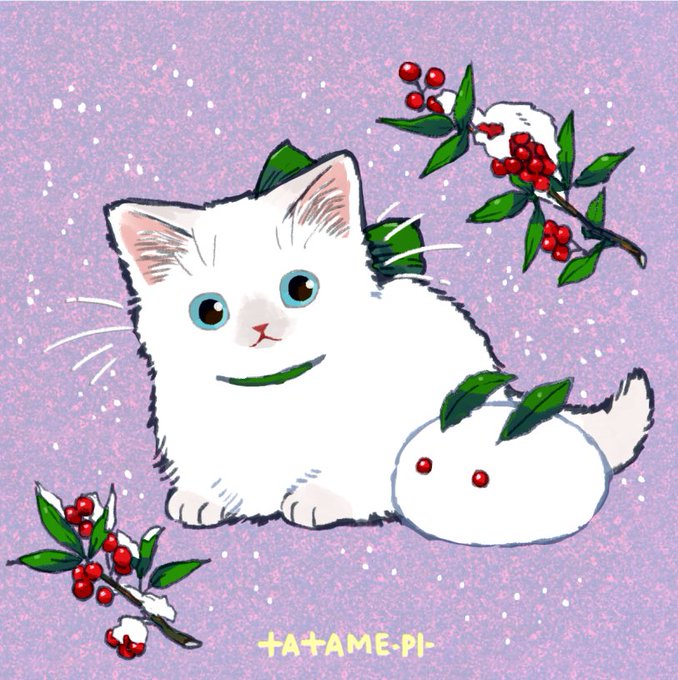 「白い猫」のTwitter画像/イラスト(古い順｜RT&Fav:50)｜2ページ目