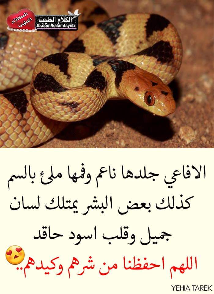 hamedhumaid87's tweet photo. https://t.co/lKiHHYoEX6