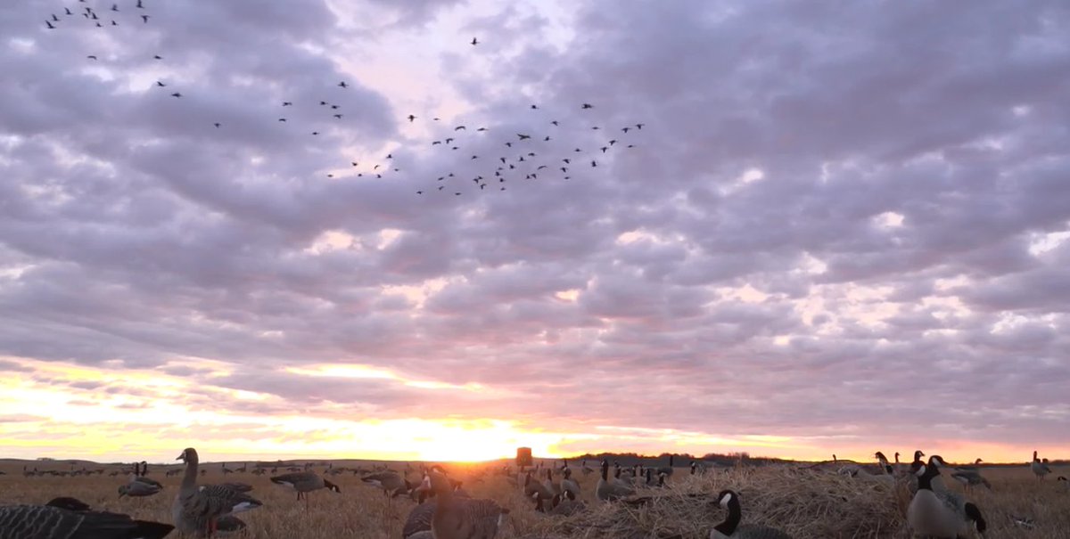 See the 2018 season of DU TV in review tonight at 8:30 PM Eastern on the Pursuit Channel. Catch all the action from this year and many more at ducks.org/dutv.