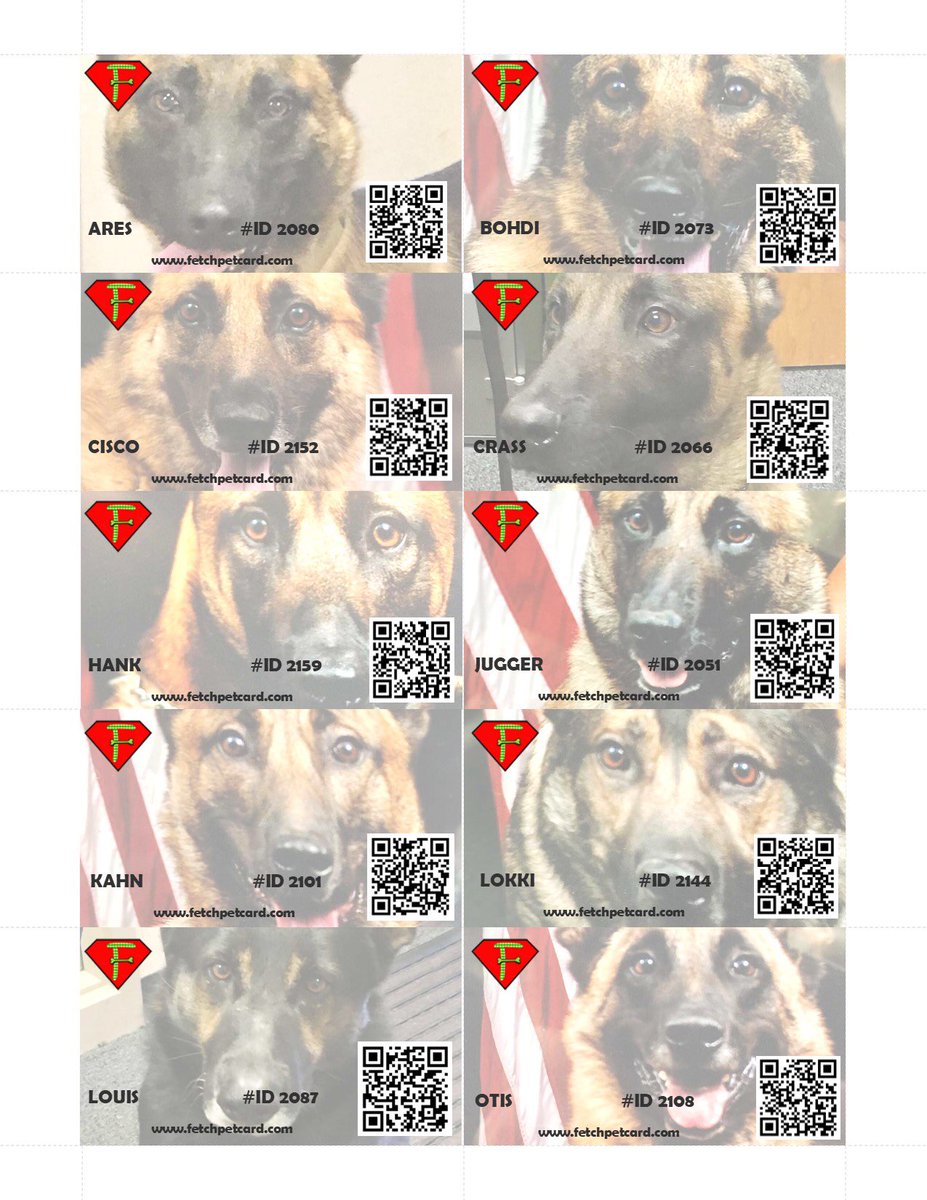 FetchPetCard's tweet photo. What a handsome group of K9 officers! https://t.co/JbzobyoGWS