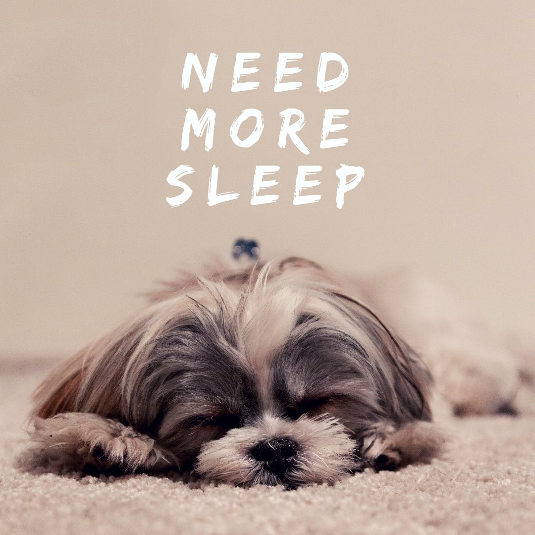 laroussebrands's tweet photo. It's a day of rest for all of us at La Rousse Brands.  We are enjoying our families (and maybe some sleep) and hope that you are too. #lotstolove https://t.co/bfrfO3POtN