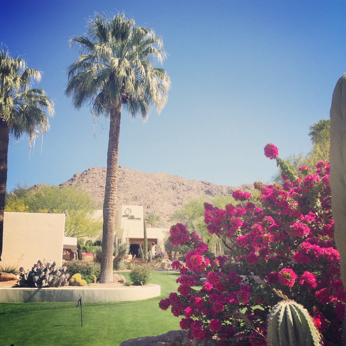 HydrotherapyAZ's tweet photo. Does it get any better than this? https://t.co/t6TikKU5Zu