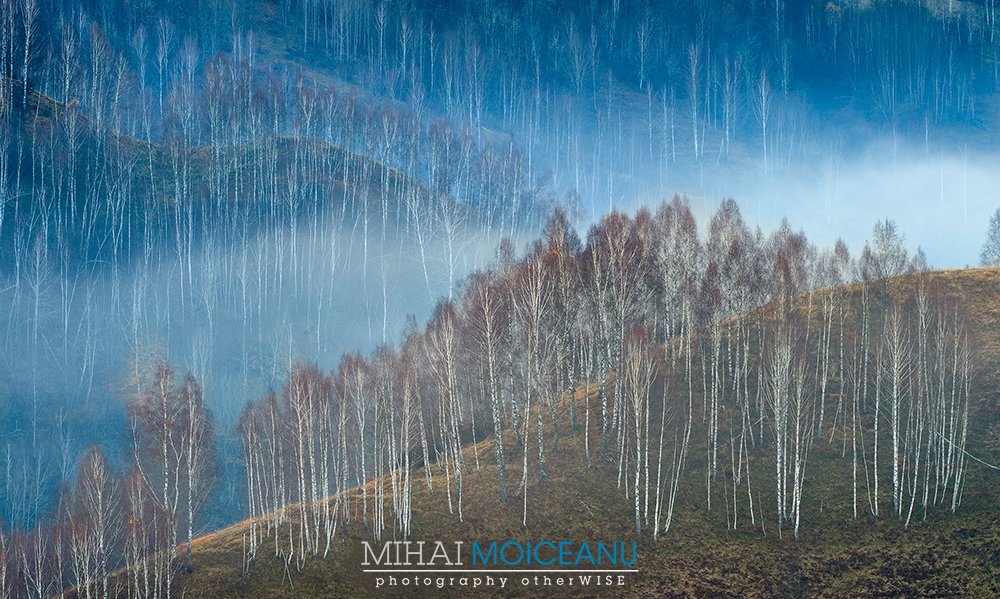 mihai_moiceanu's tweet photo. Workshopul din Apuseni, din octombrie este un alt moment frumos de care imi aduc aminte #ToamnaInApuseni #Rimetea #Coltesti #SalciuaDeJos #Dumesti #Paduri #Forest #BestLandscape #NatureLover #Transylvania https://t.co/nBspoAdrJB