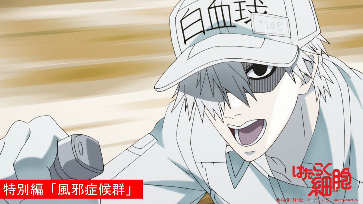 はたらく細胞 公式 V Twitter 特別編 風邪症候群 Tokyo Mx Bs11 群馬テレビ とちぎテレビにて放送スタート 感想は はたらく細胞 でぜひぜひつぶやいて頂けると嬉しいです わたしの風邪予防 でも引きつづきみなさんの風邪予防の方法もお待ちして はたらく細胞 公式 V Twitter 特別編 風邪症候群 Tokyo Mx Bs11 群馬テレビ とちぎテレビにて放送スタート 感想は はたらく細胞 でぜひぜひつぶやいて頂けると嬉しいです わたしの風邪予防 でも引きつづきみなさんの風邪予防の方法もお待ちして