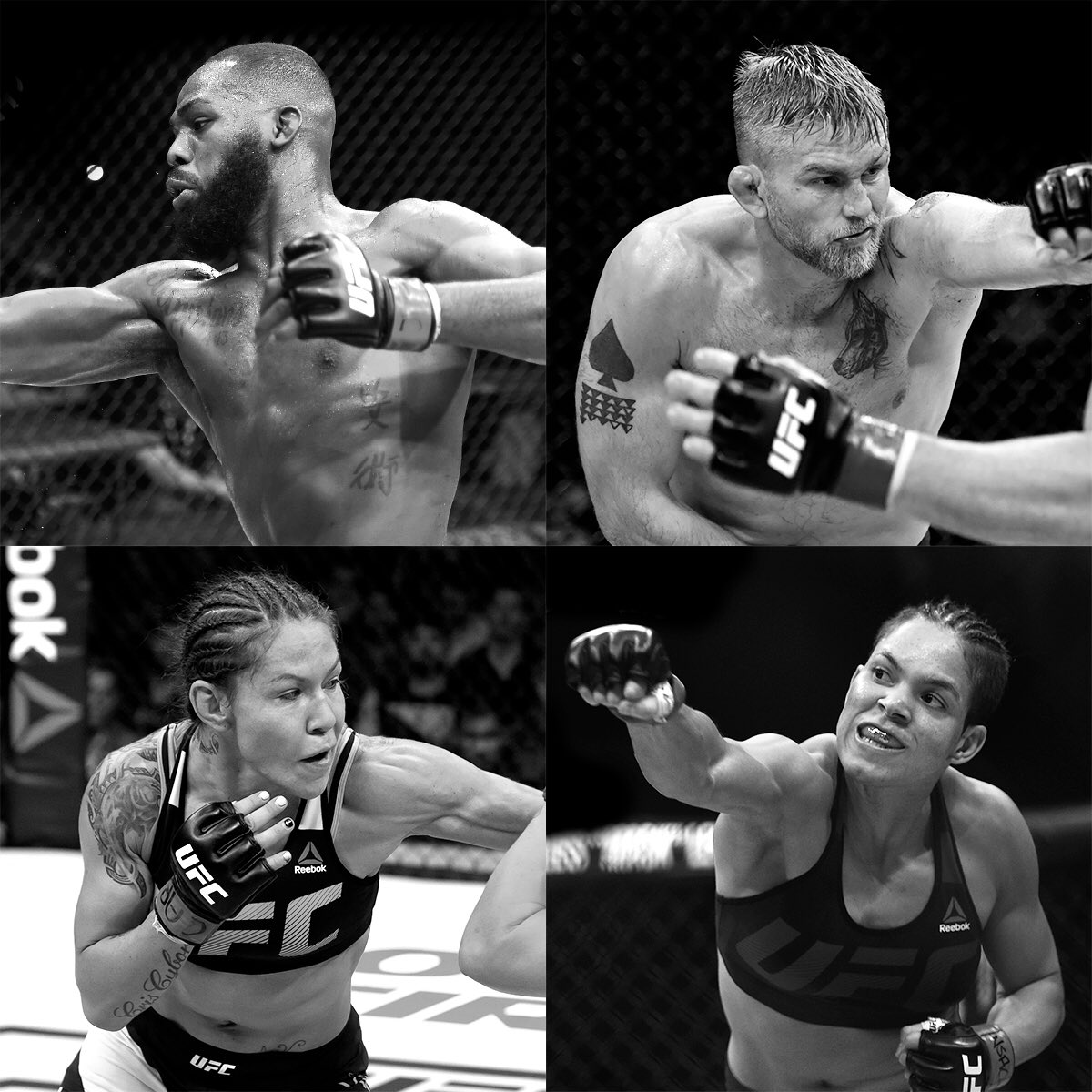 danawhite's tweet photo. Fiiiiiiiight weeeeeek!!!! Jones vs Gustafsson 2 and Cyborg vs Nunes this  Saturday LIVE on PPV! #UFC232 https://t.co/6c0gqR9NYq
