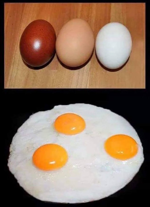 Clarísimo! Racismo explicado para dummies (Imagen sacada de facebook.com/Junk-DNA-97478… )